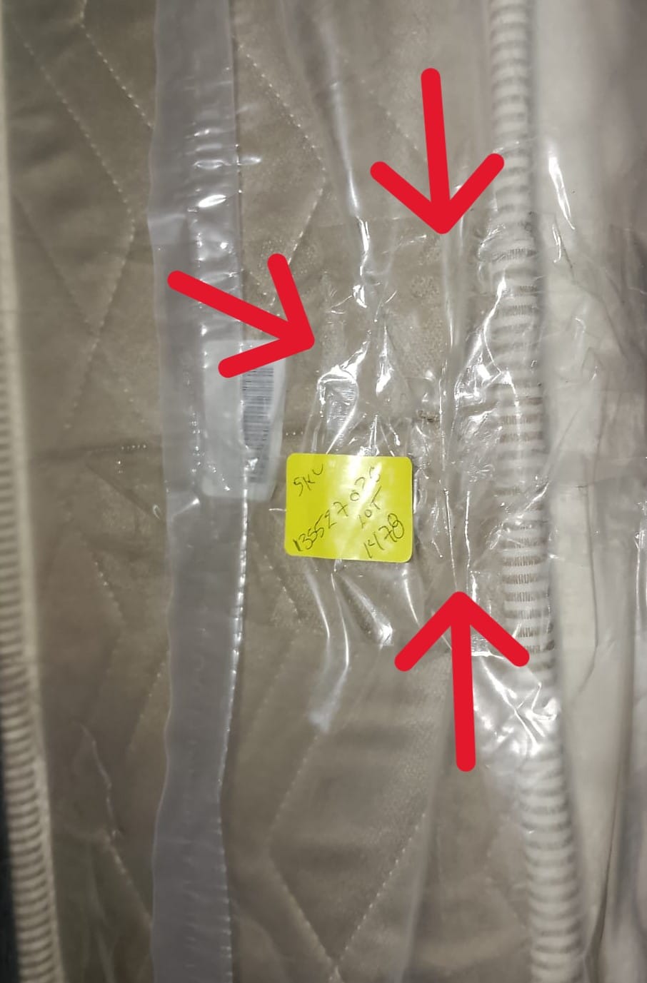 Bamboo 15P 9