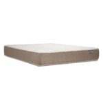 Bamboo 2P 2