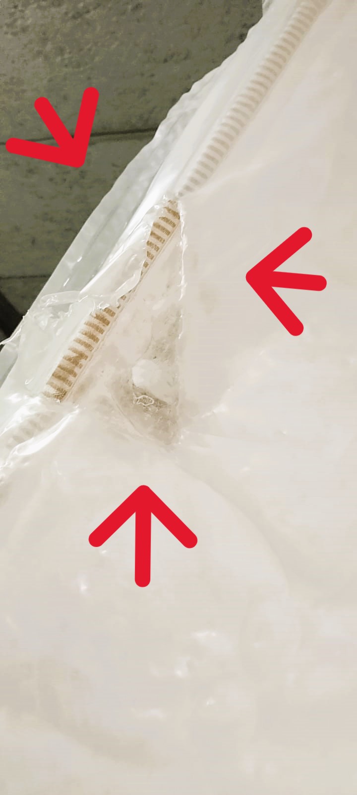 Bamboo 2P 7