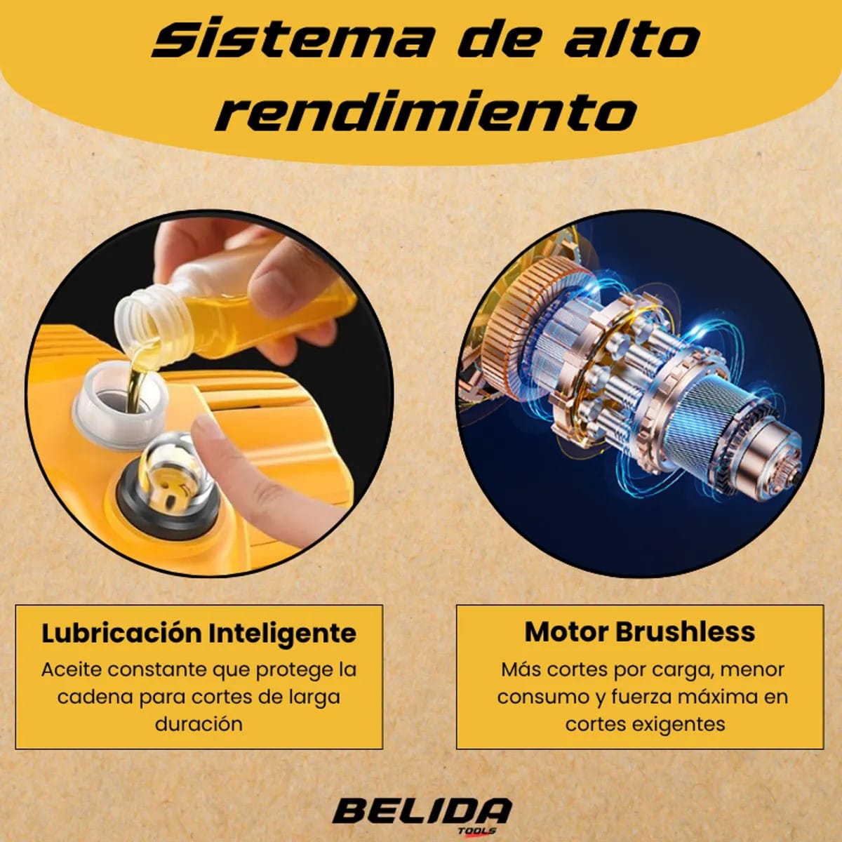 Belita 8 - 5 Belita 8 5