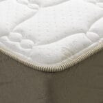 Celta Bamboo 15P 3 1