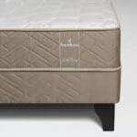 Celta Bamboo 15P 6 1