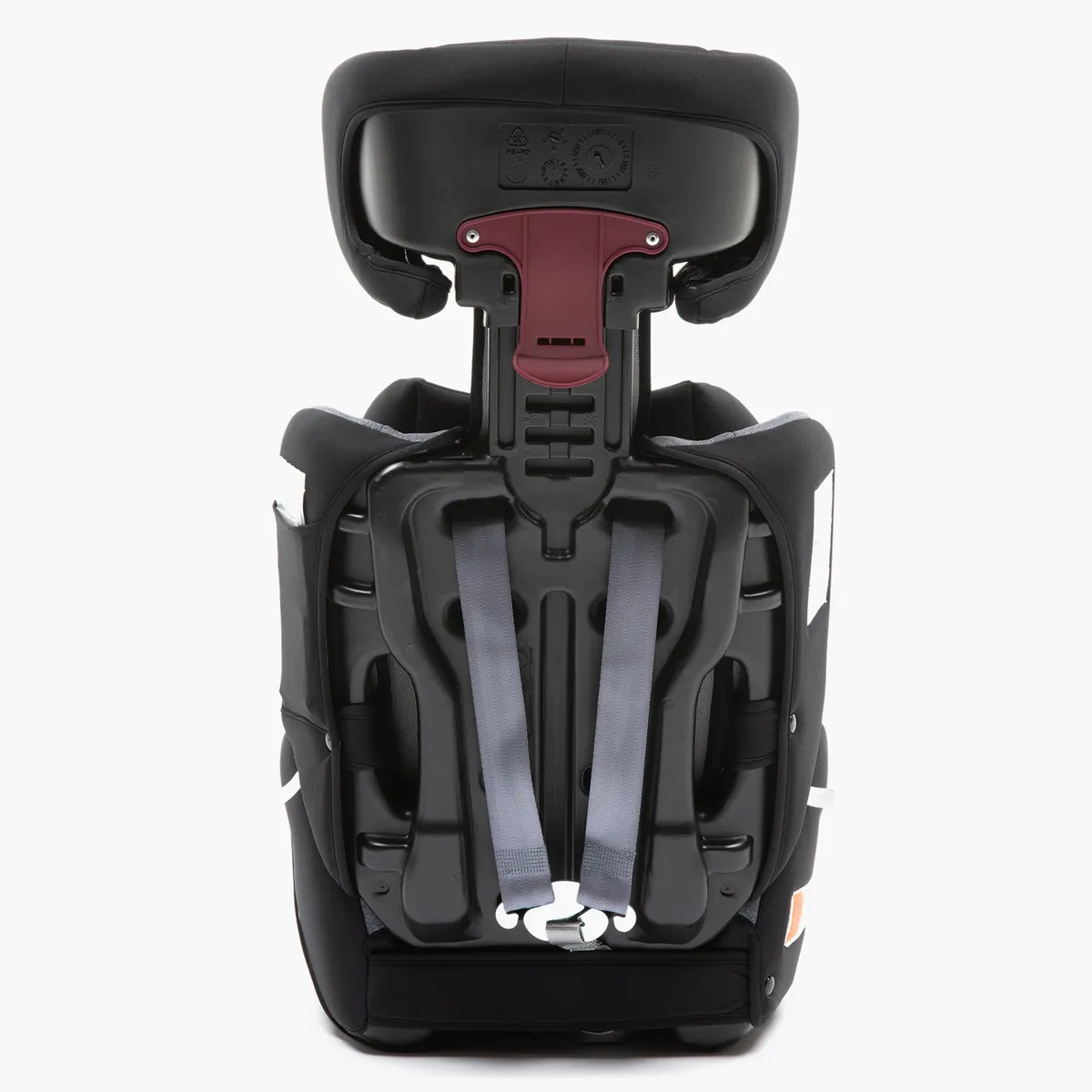 Infanti V6 5