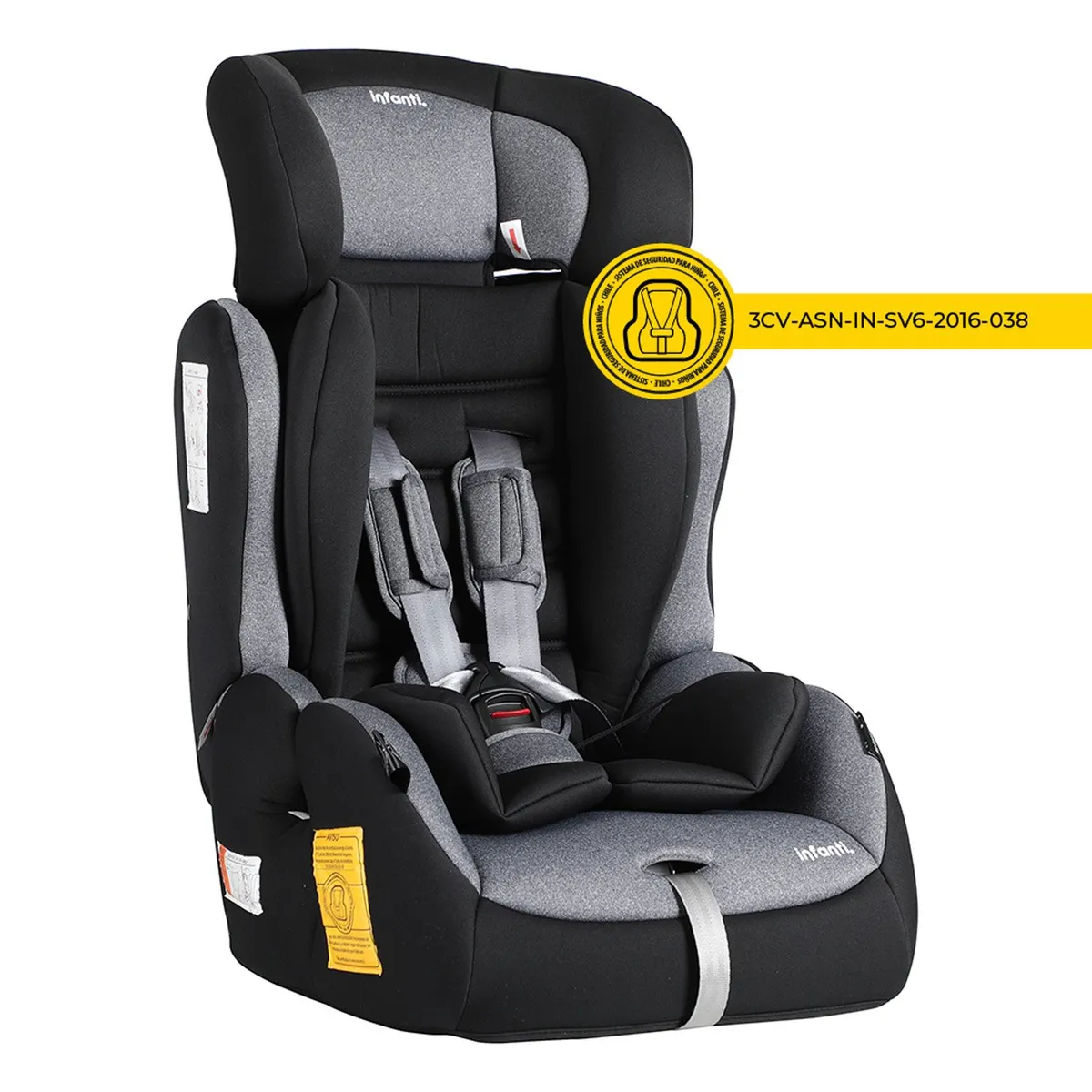 Infanti V6 8