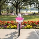 Nina Aro 16 Morada 6