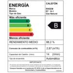 Rheem 14L Tiro Natural GN 5