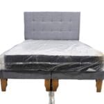 Vitelio 2P BD 1 1 copia