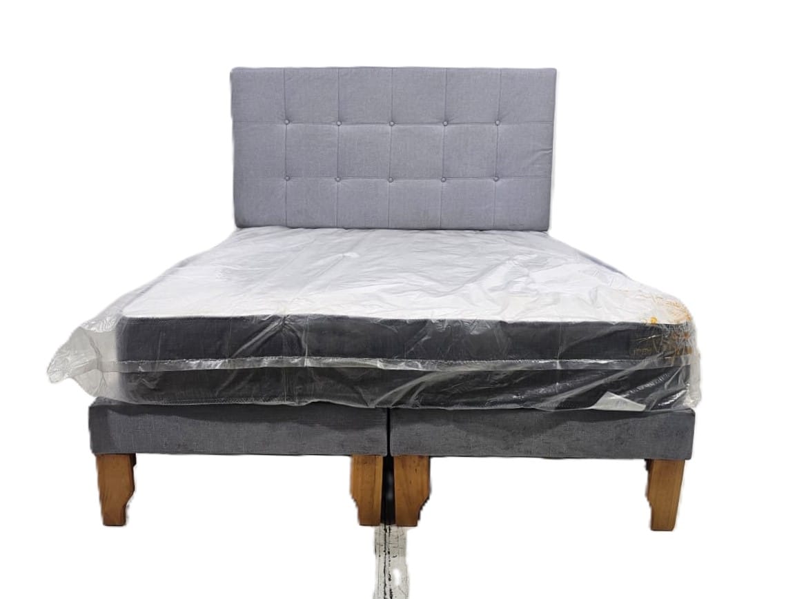 Vitelio 2P BD 1 1 copia