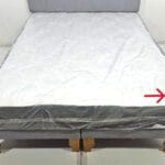 Vitelio 2P BD 8 copia